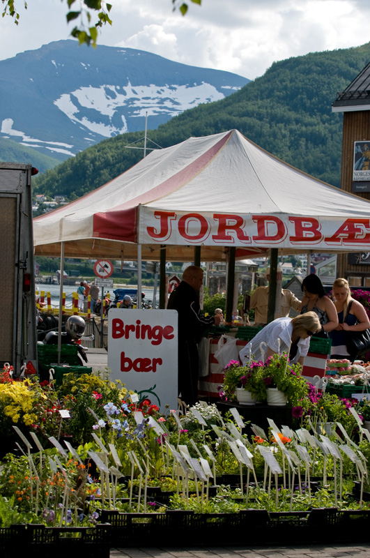 19 Tromssa 1.jpg - ja sitten oltiinkin jo pohjolan-Pariisissa - Ricasta emme huonetta saaneet mutta sensijaan naapurista Radissonista kyllakin - tassa toripaivan meininkia
